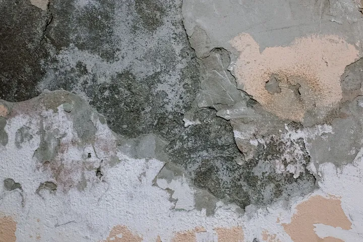 Schimmelbefall an einer feuchten Innenwand vor der Sanierung